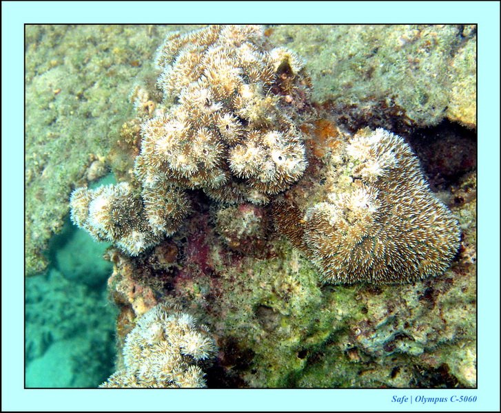 2005 - 08 - Perhentian  - 077.JPG